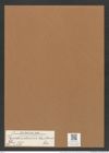 Syndendrium ? brasiliense Ehr. (de-Toni-Nr.: Genus 153, Species 4209) Zeichnungen Sammlung Grunow Mappe 04208 (Herbarium_W_Grunow_drawings_Folder_04208)